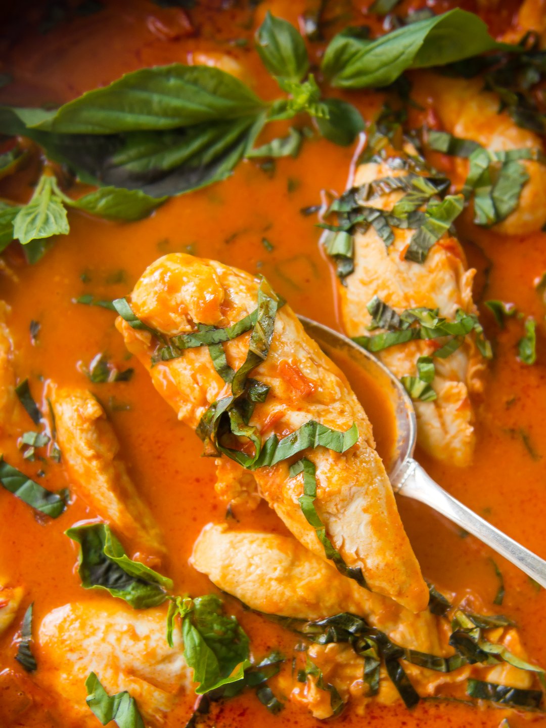 APLK Coconut Red Curry Braised Chicken Tenders